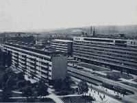 Panorama. Ulica Proleterskih brigada, pogled na zapadni dio ulice i na sjeverozapad grada. (Foto Tošo Dabac)